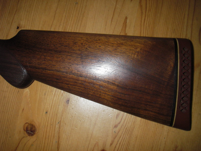 IMGP2103_resize.JPG