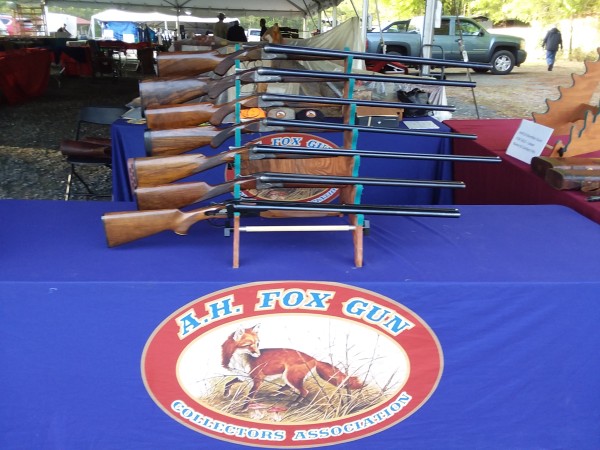 Display guns