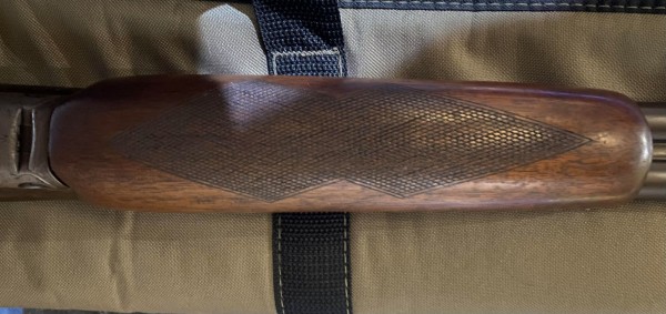 Beavertail forend_small.jpg