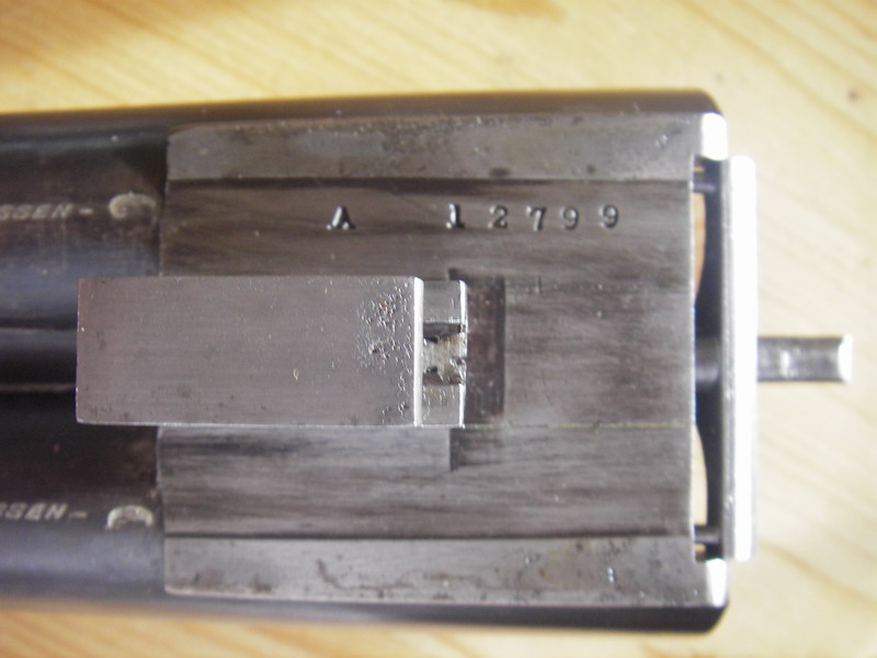 IMGP2124_resize.JPG