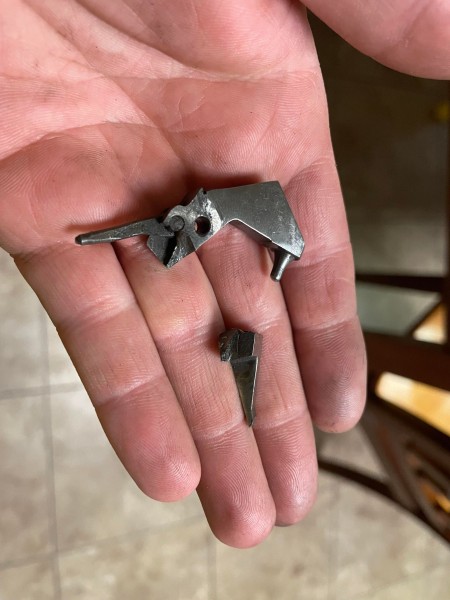 hammerfox.jpg