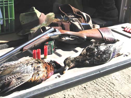 Pheasant, Mallard & Super-Fox 1, 16 Oct 2002.jpg