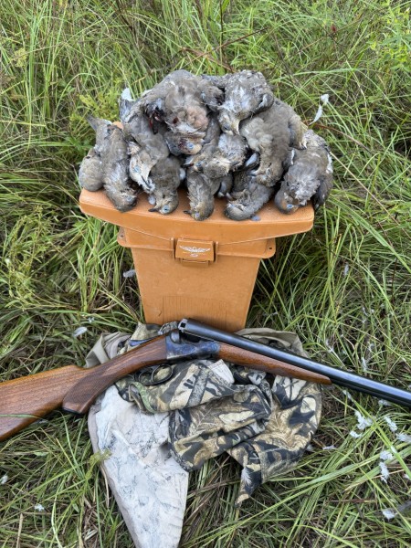 Fox doves.jpg