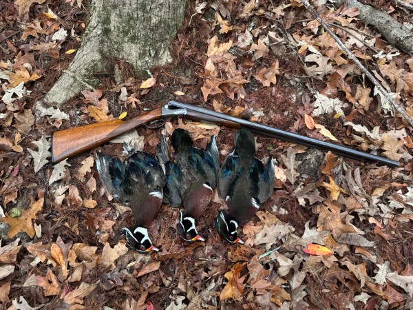 12-27 woodies.jpg