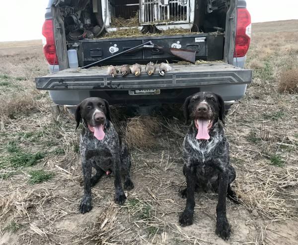 IMG_5830.jpeg