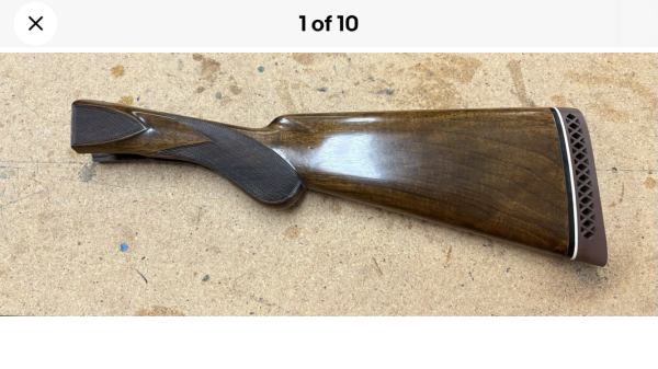 IMG_3518.png
