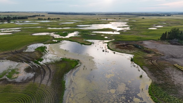 dji_fly_20260808_202422_0289_1786246570354_photo.jpeg