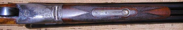 303577 16-ga A-Grade forearm.JPG