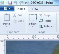paint resize.JPG