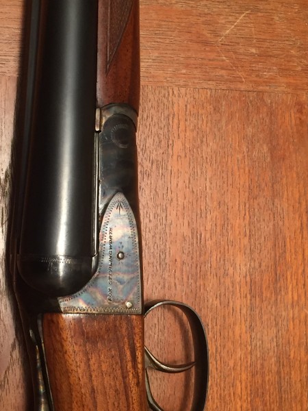 Case Color - Right