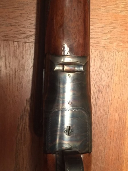 Case Color - Bottom