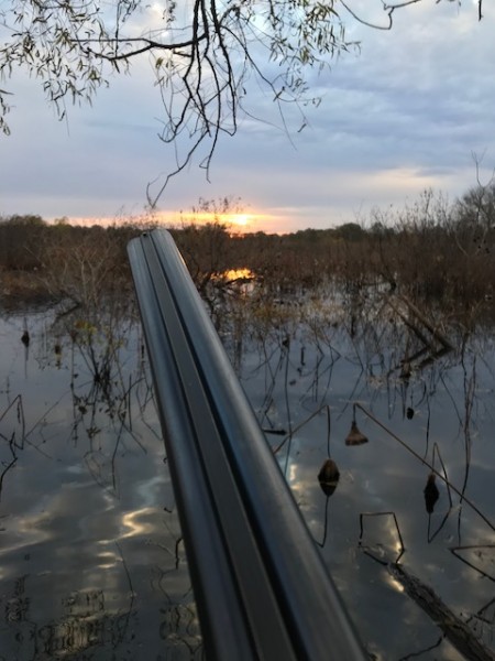 Sunrise on the Mississippi Delta