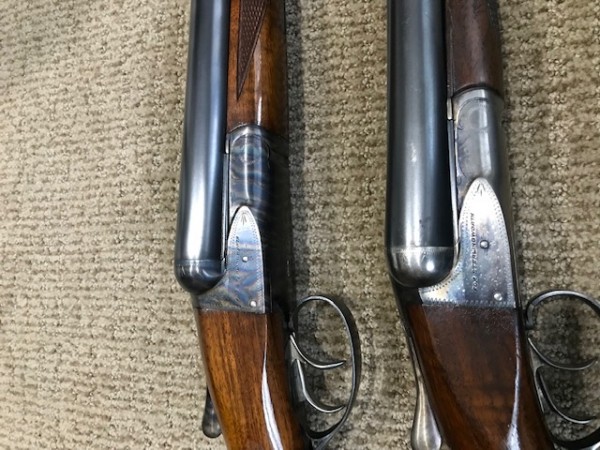 image3 (4).jpeg