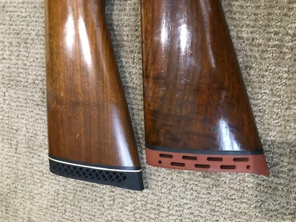 image4 (2).jpeg