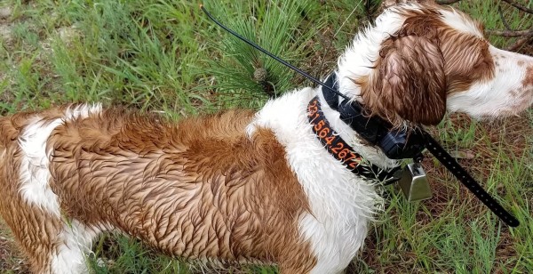 cash wet.jpg