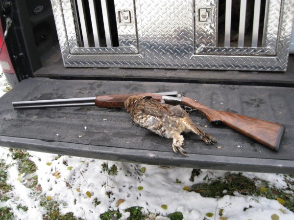 Sterlingworth 16 - Minnesota Grouse