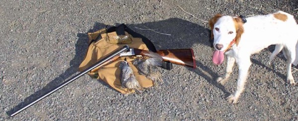 07. Skitso, 1913 Fox 20 and Quail 2.jpg (87.24 KiB) Viewed 9911 times The first birds I shot over Skitso back in 2005