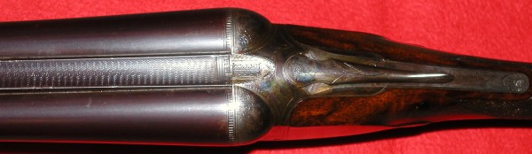 454 15.JPG