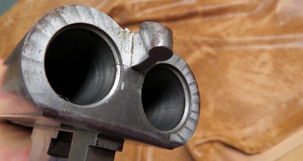 Colt 1883 shotgun_039.JPG