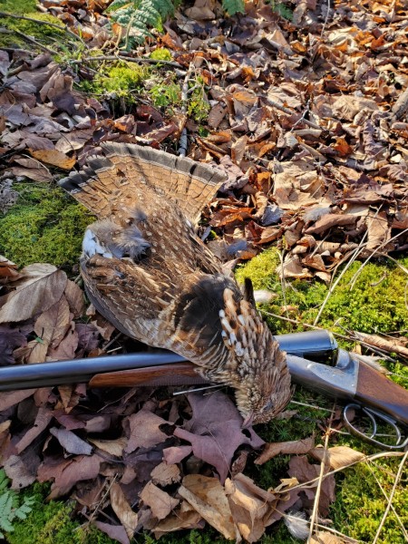 20191126_122948_copy_1209x1612.jpg