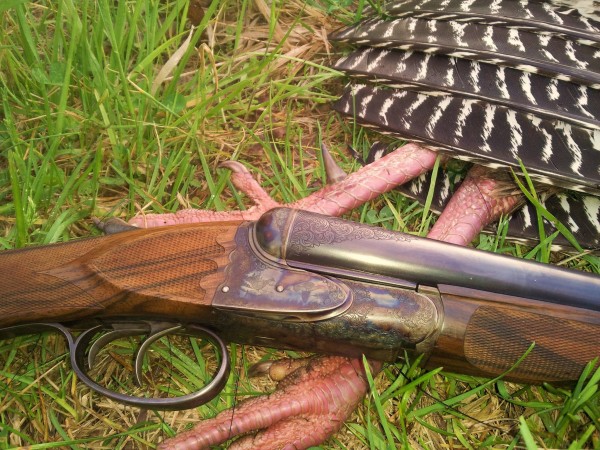 abbygunturkeystrasburg.jpg