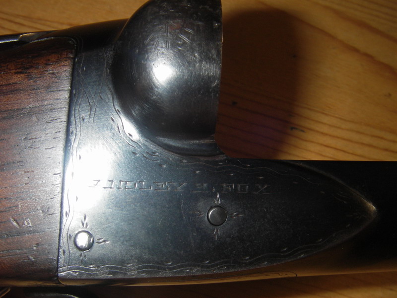 IMGP2131_resize.JPG