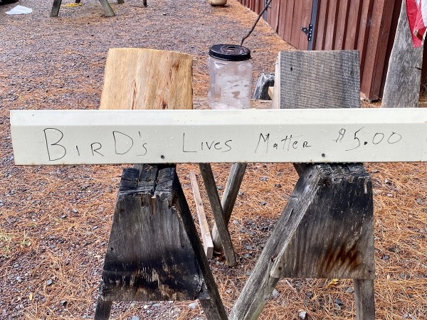 Bird House 1.jpg