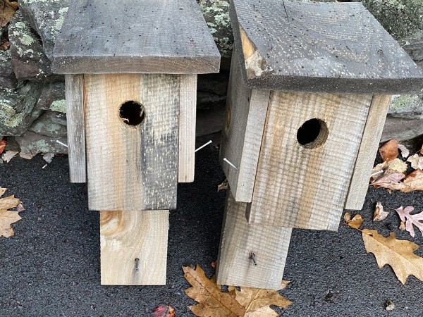 Bird House 2.jpg