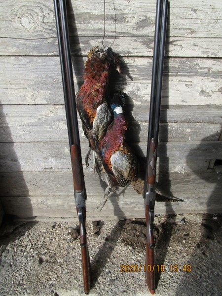IMG_0534.JPG (2.58 MiB) Viewed 8426 times A couple of vixens in Louise's barn. Two 30" twenties.