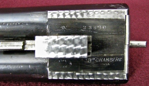 23590 03a Feb 2021.jpg
