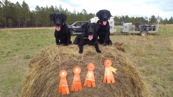 Roxy-Ray-Nellie 4th master 3-27-2021.jpg