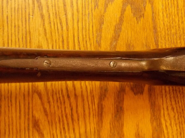 DSCN0785.jpg