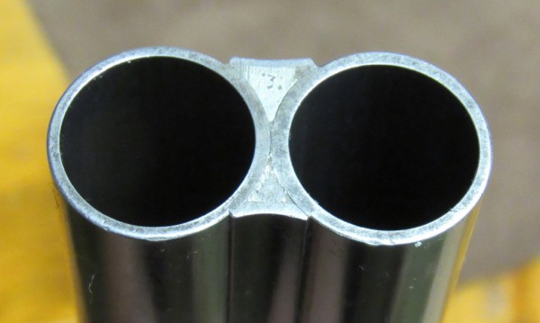 Muzzle
