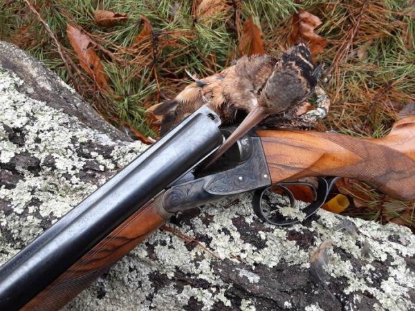 woodcock2021late.jpg