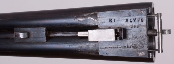 31791 03.jpg