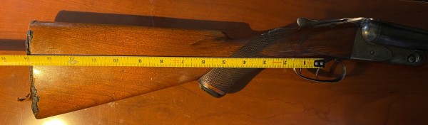 IMG_4888.jpg